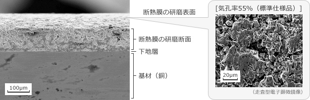 皮膜の形態